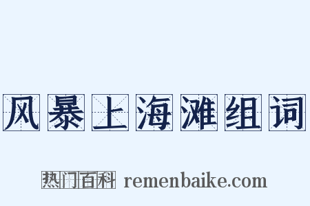 风暴上海滩组词是什么意思的图片